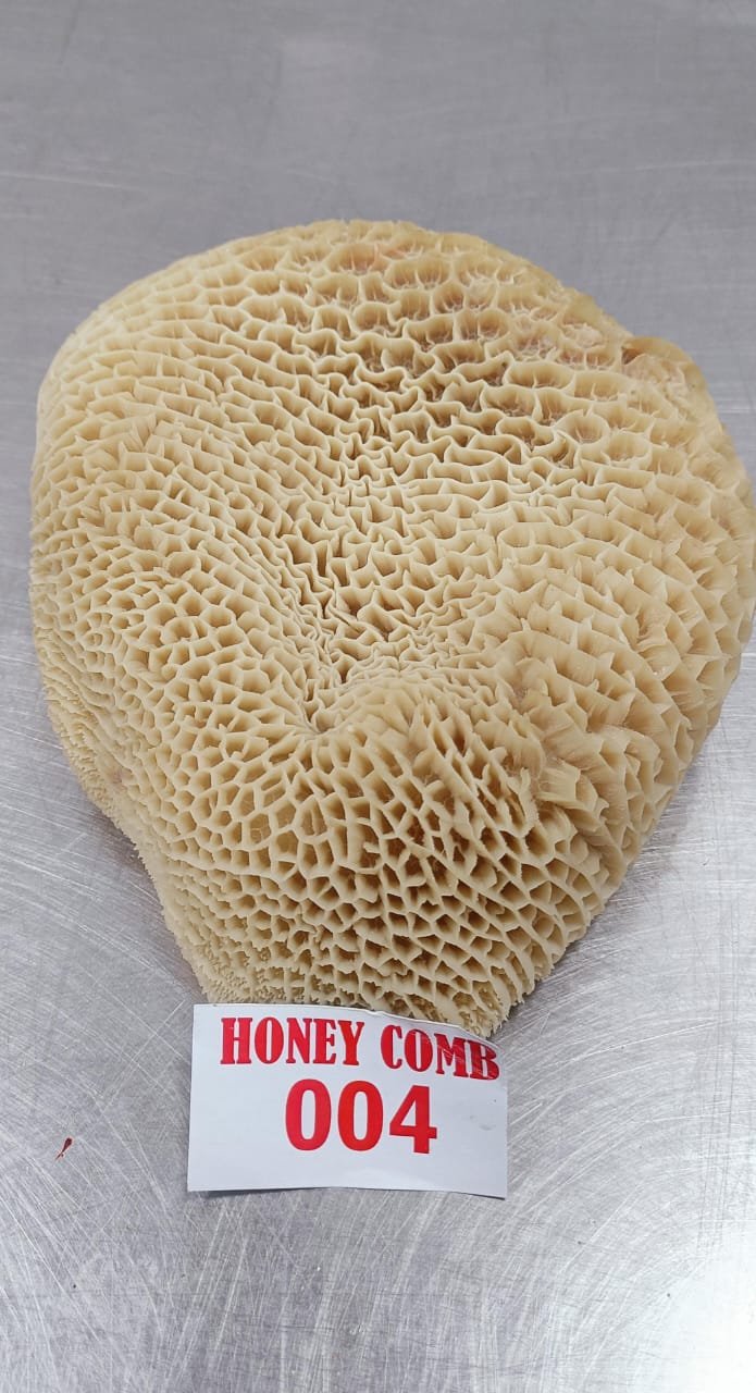 HoneyComb