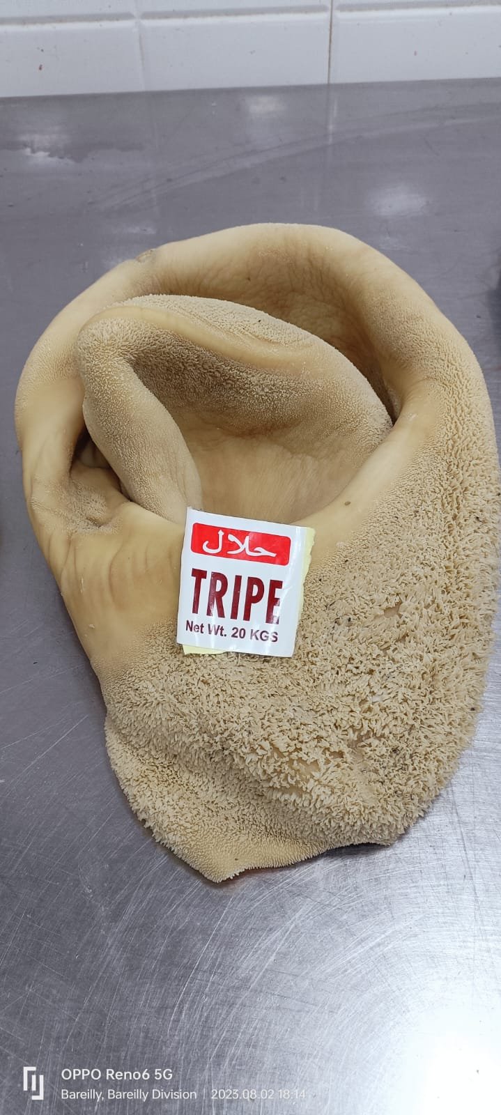 Tripe